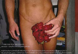 Männer II