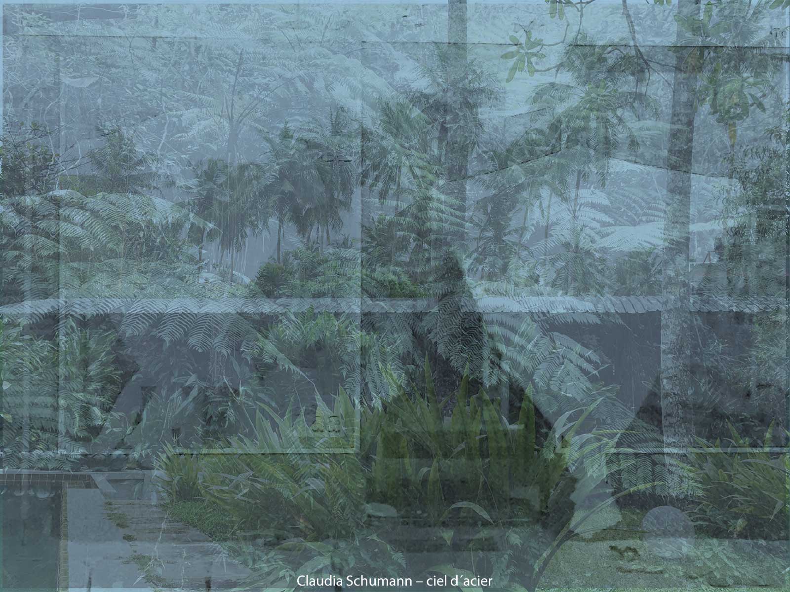 Claudia Schumann – ciel d´acier
